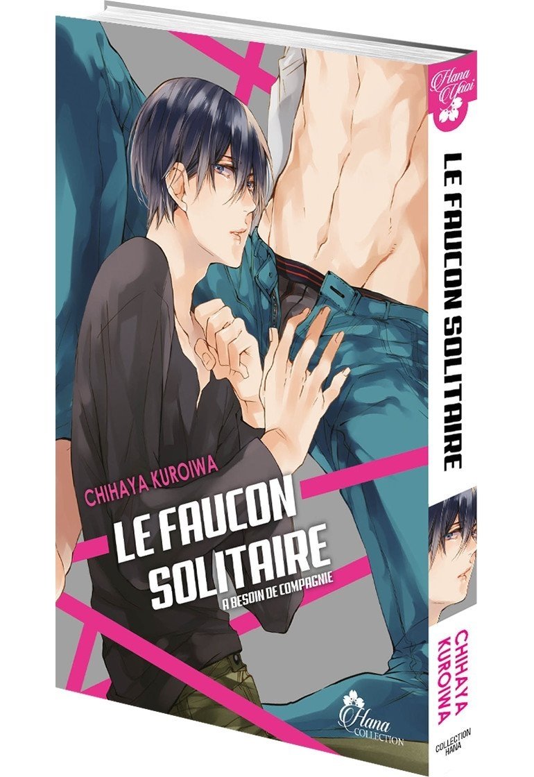 Le Faucon Solitaire
