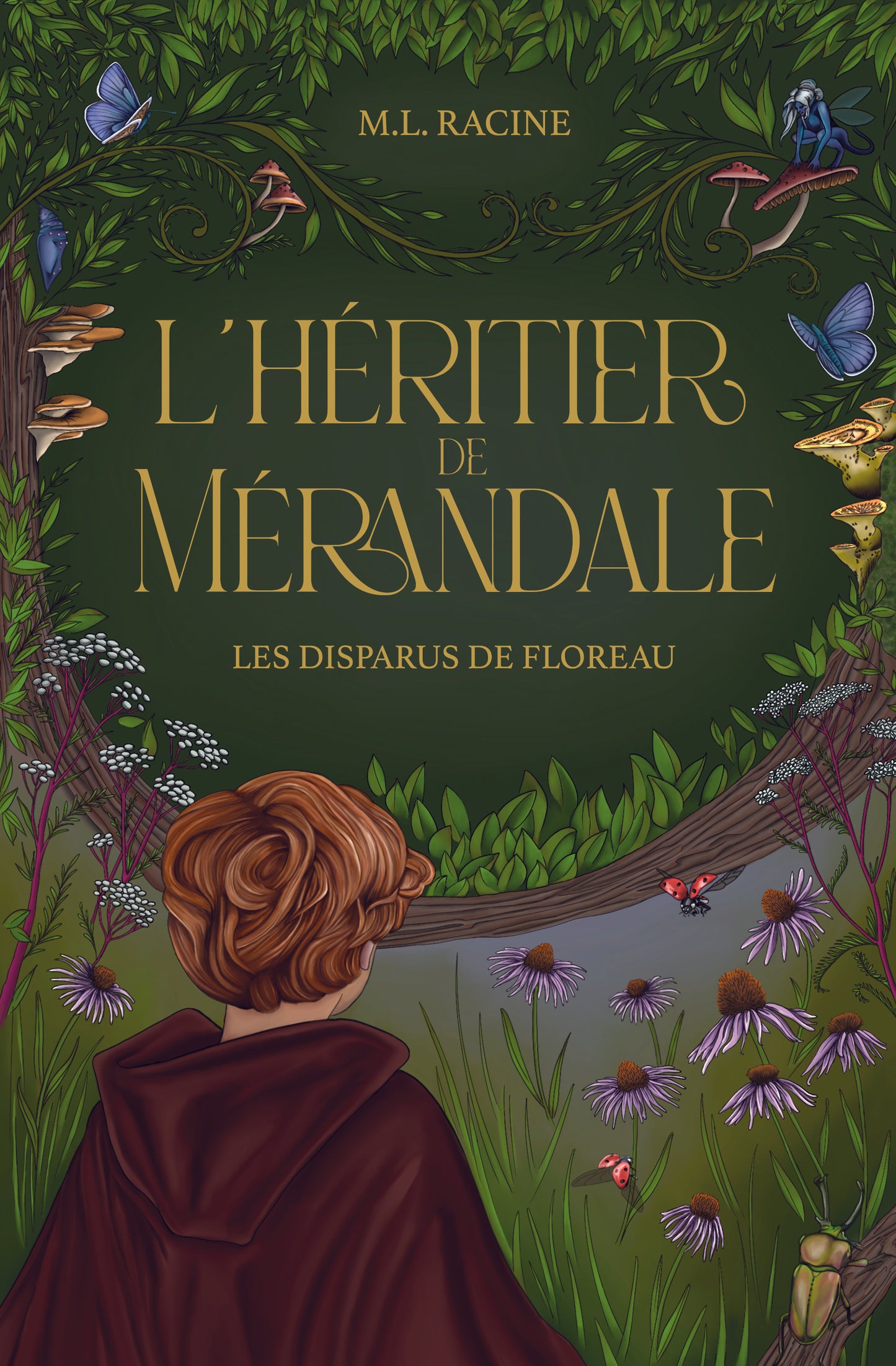 L’héritier de Mérandale - T.1 : Les disparus de Floreau