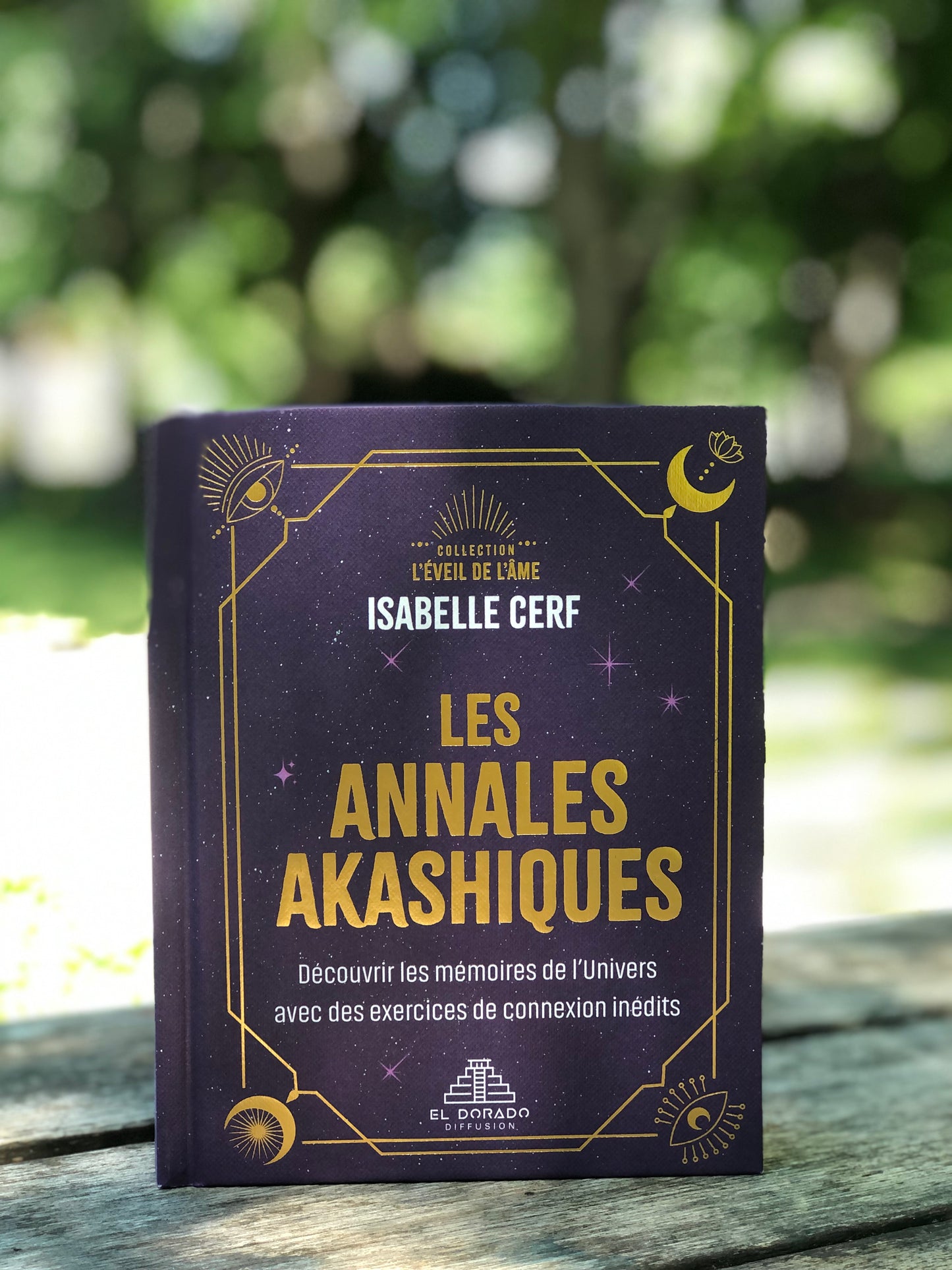 Les annales akashiques : Découvrir les mémoires de l'Univers avec des exercices de connexion inédits