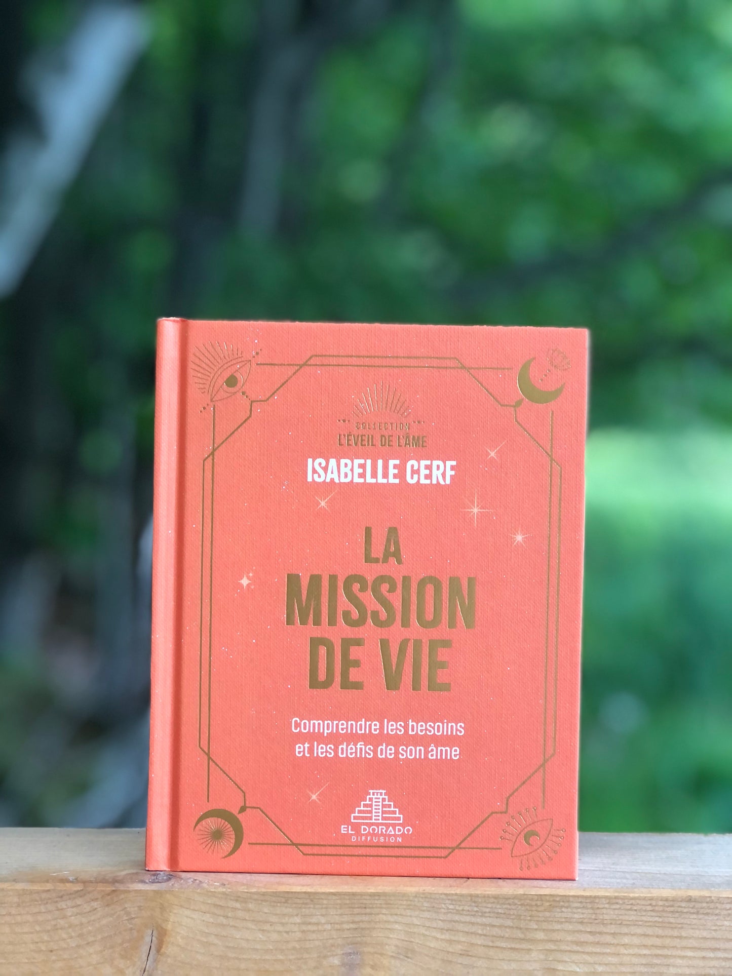 La mission de vie : comprendre les besoins et les défis de son âme