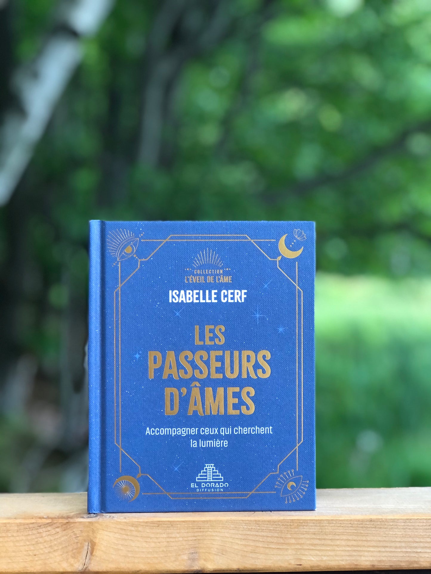 Les passeurs d'âmes : accompagner ceux qui cherchent encore la lumière