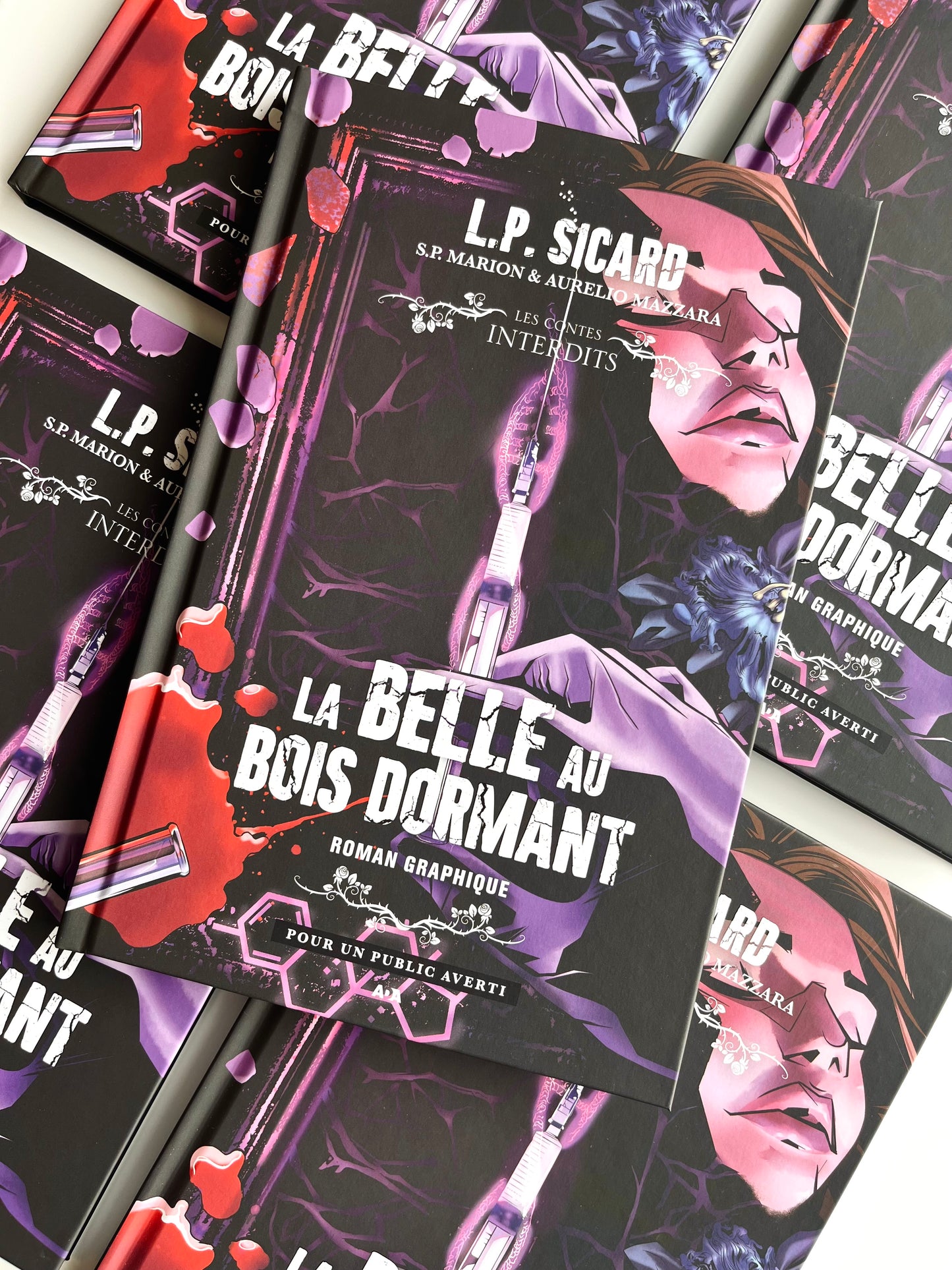 La belle au bois dormant : Le roman graphique