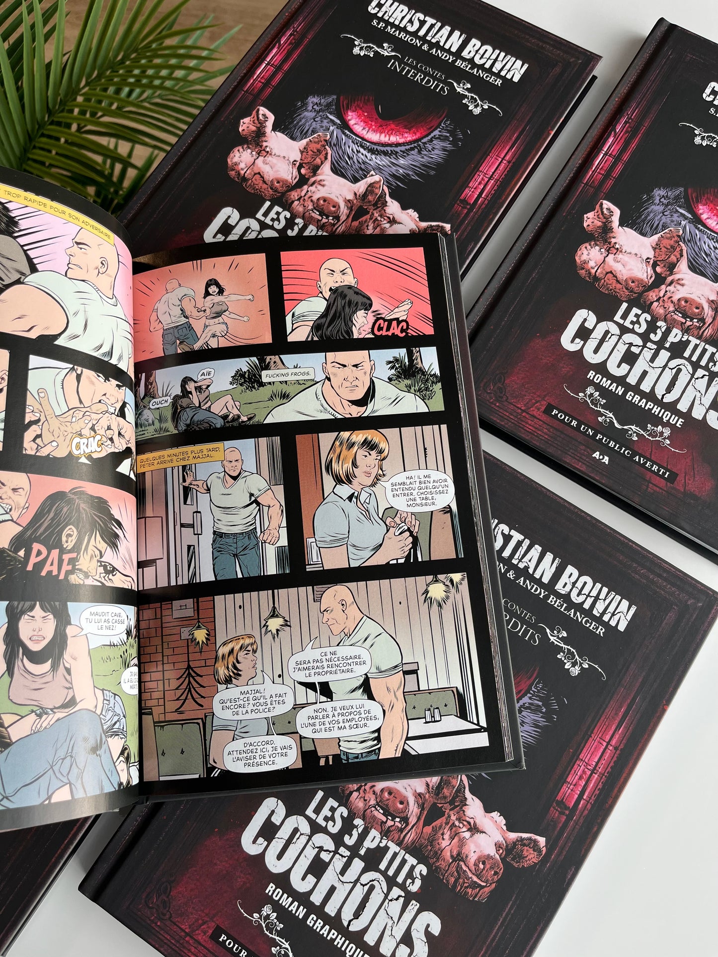 Les 3 p'tits cochons : Le roman graphique