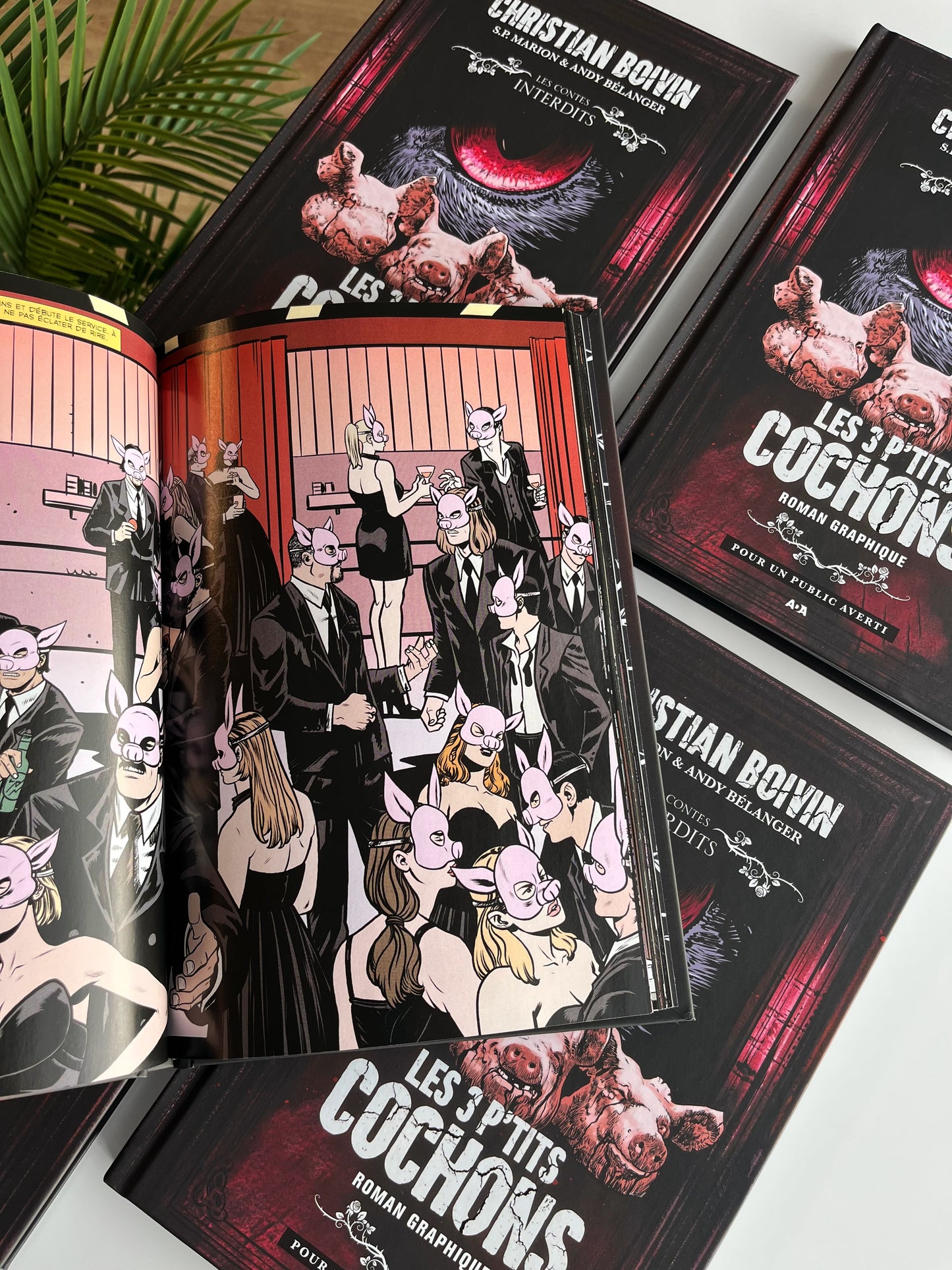 Les 3 p'tits cochons : Le roman graphique