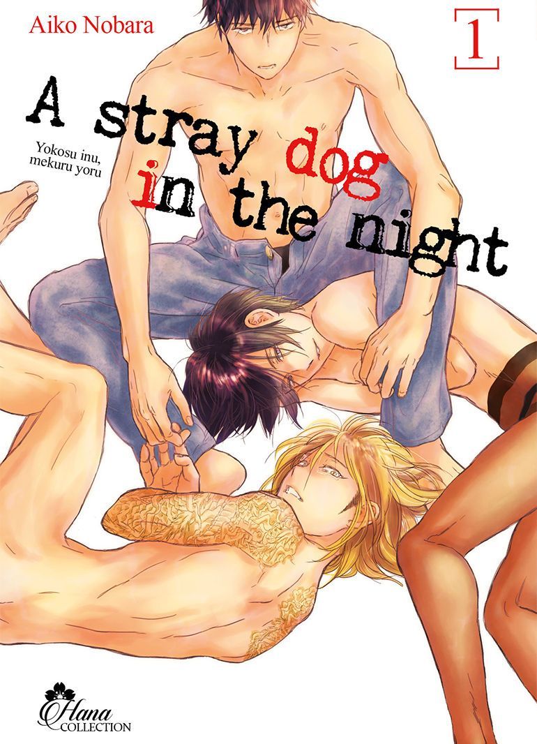 Stray Dog in the night - Tome 01