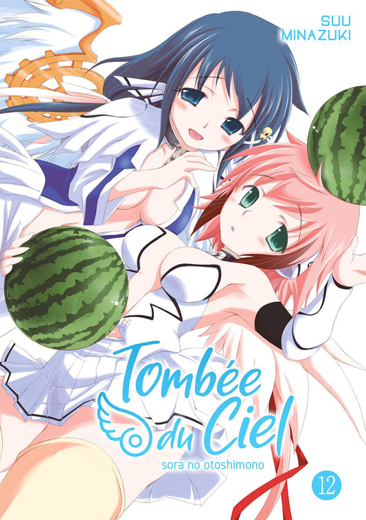 Tombee du Ciel - Tome 12