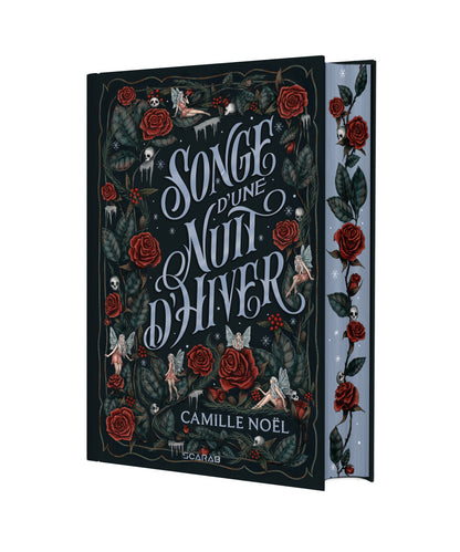 Songe d’une nuit d’hiver
