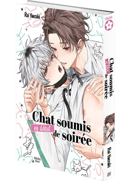 Chat soumis en début de soirée