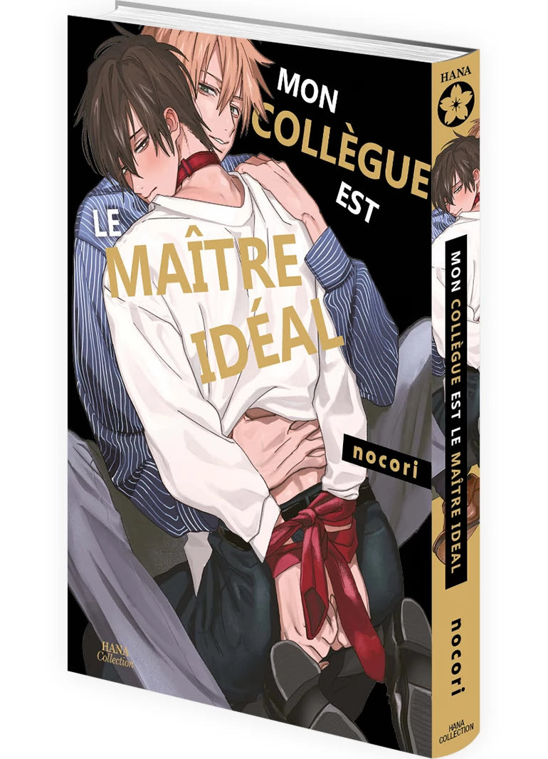 Mon collègue est le maître idéal