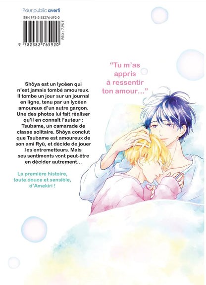 Journal d'un premier amour