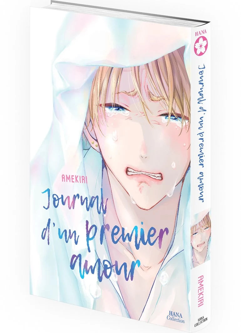 Journal d'un premier amour