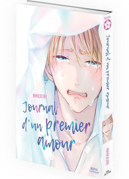Journal d'un premier amour