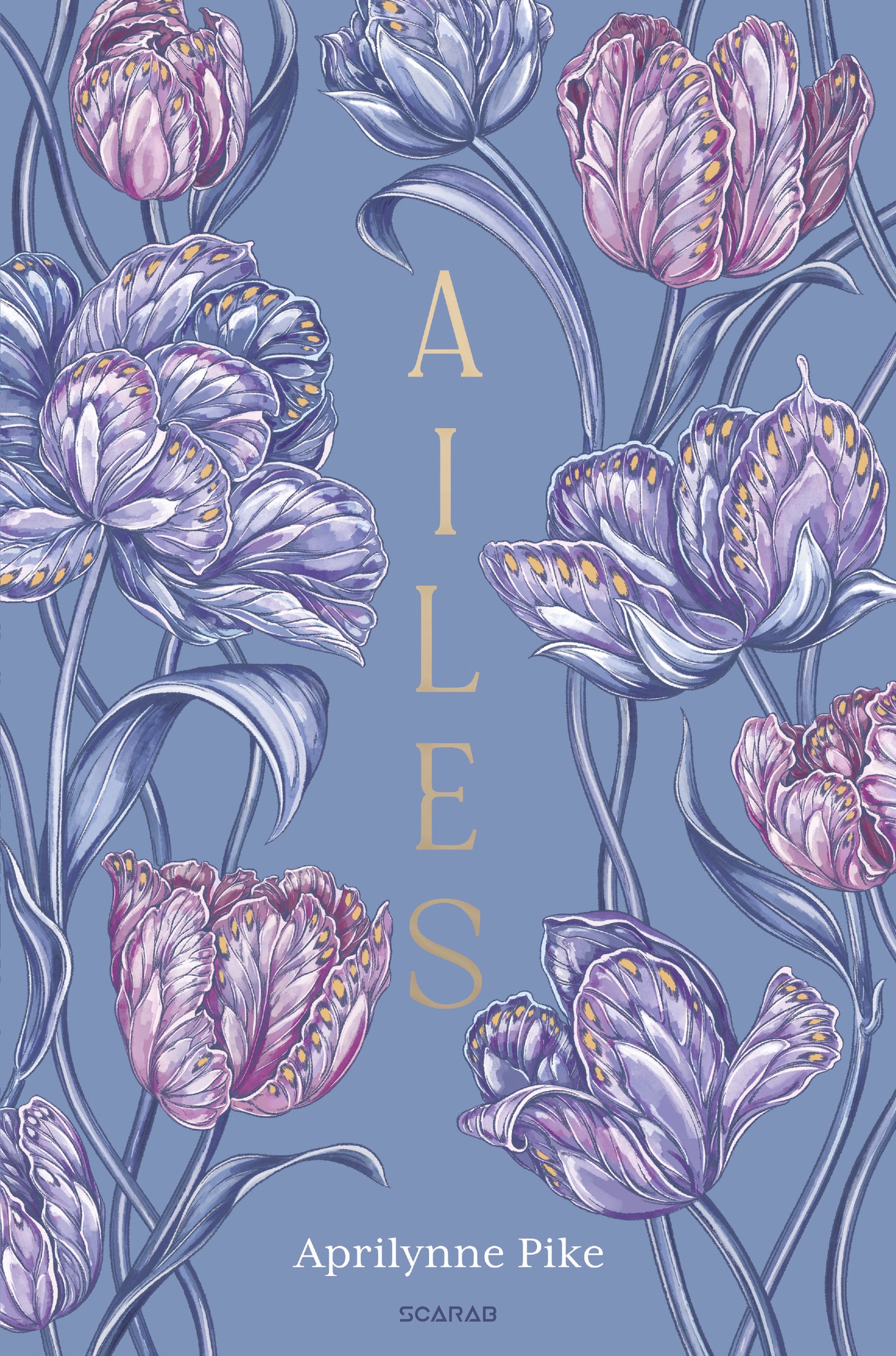 AILES - T1 : Ailes