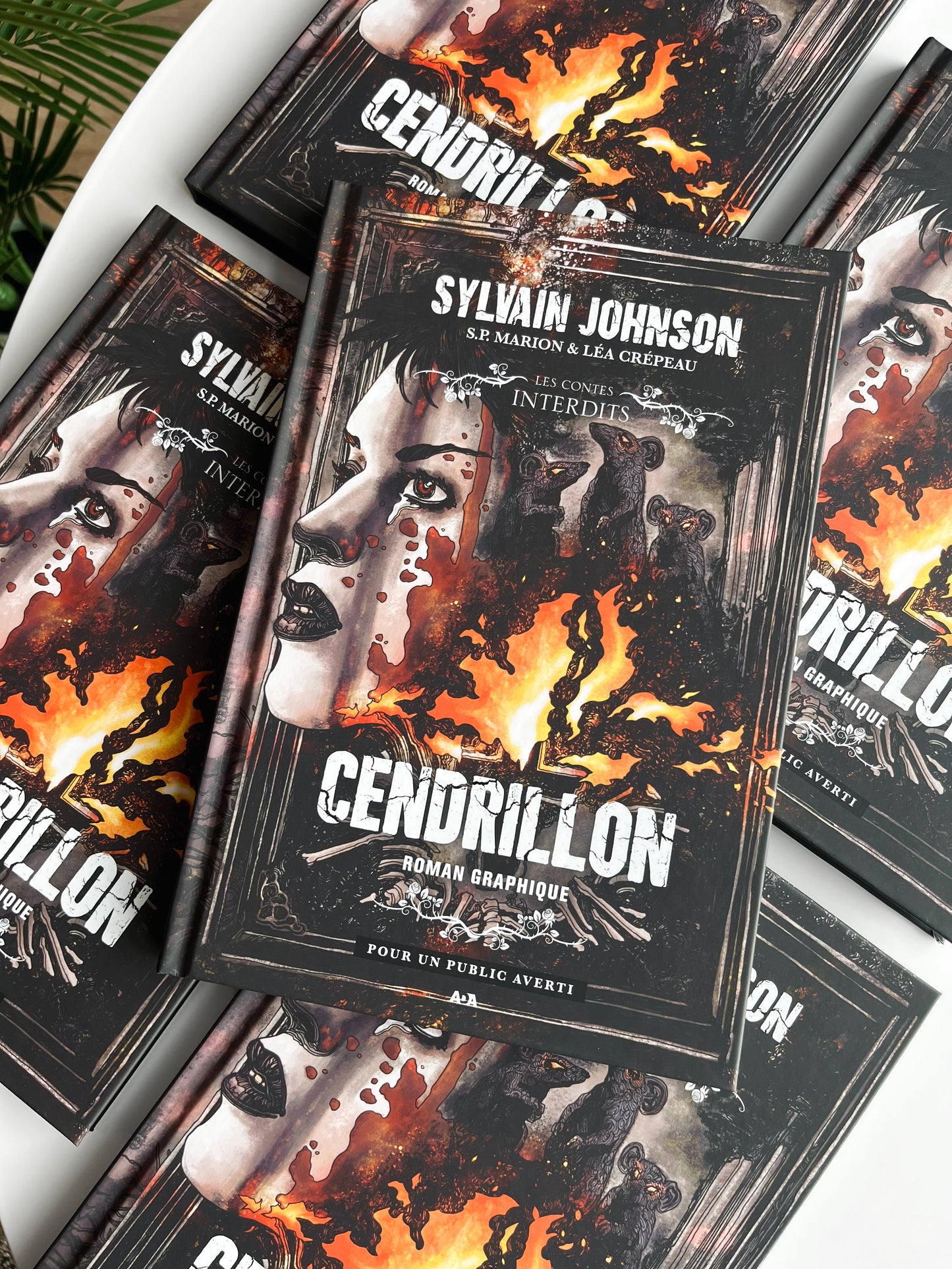 Cendrillon : Le roman graphique