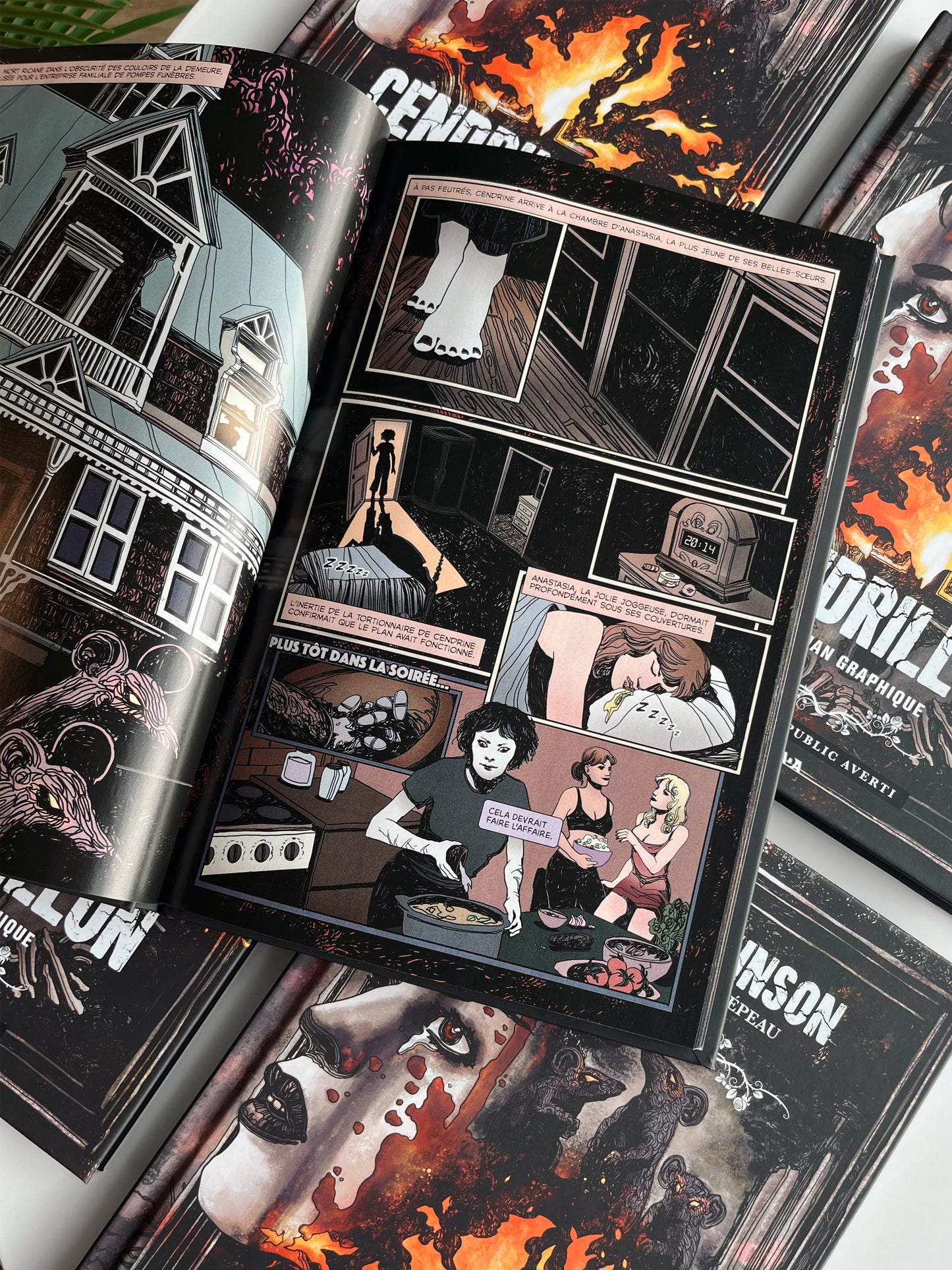 Cendrillon : Le roman graphique