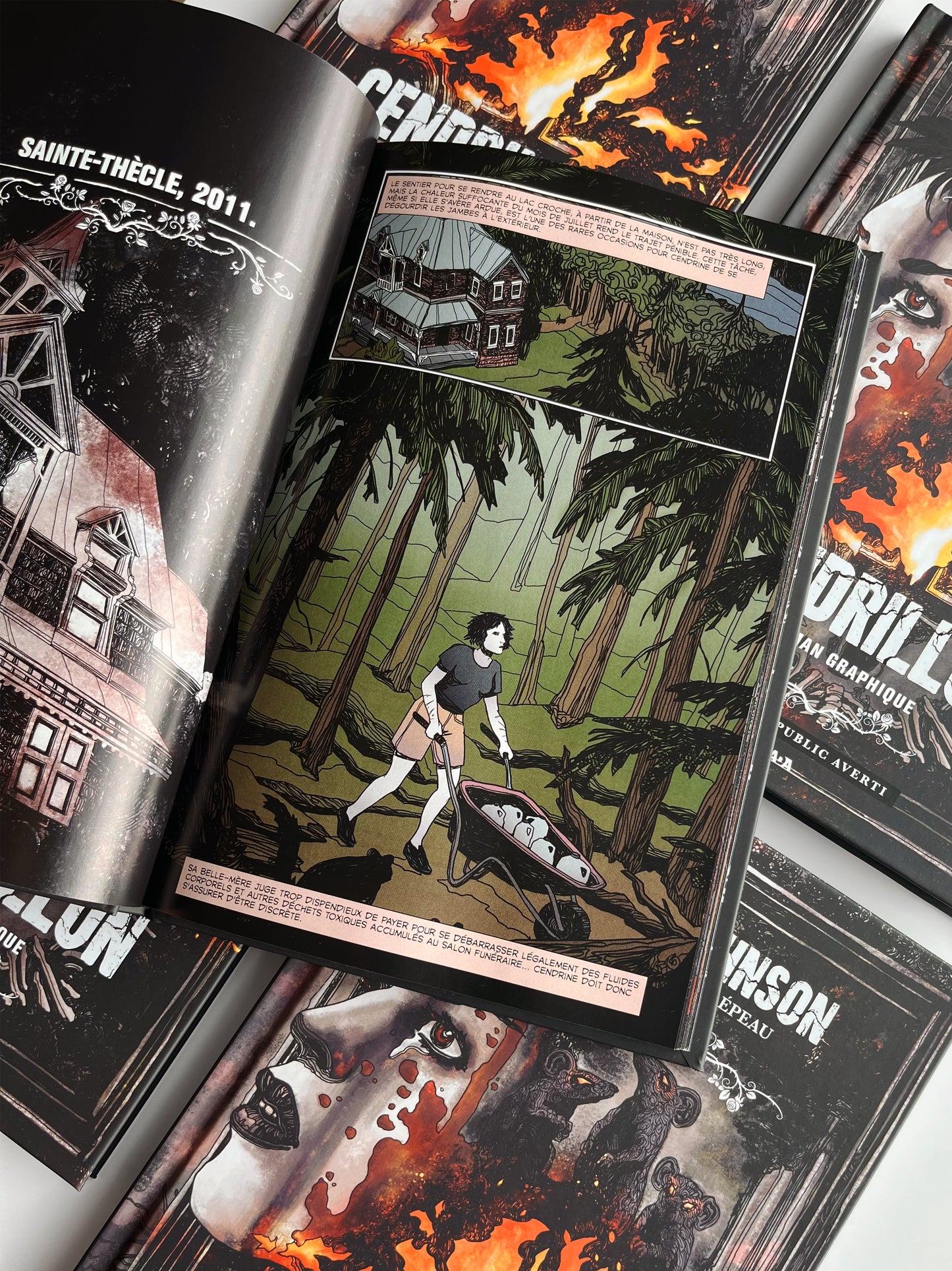 Cendrillon : Le roman graphique