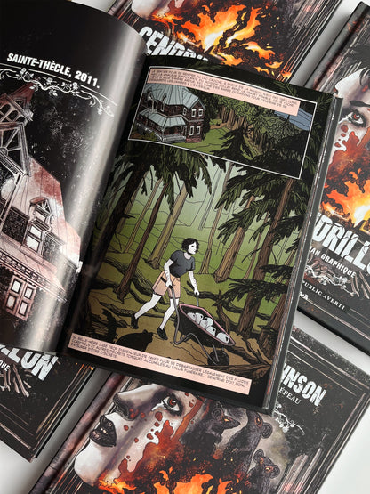 Cendrillon : Le roman graphique