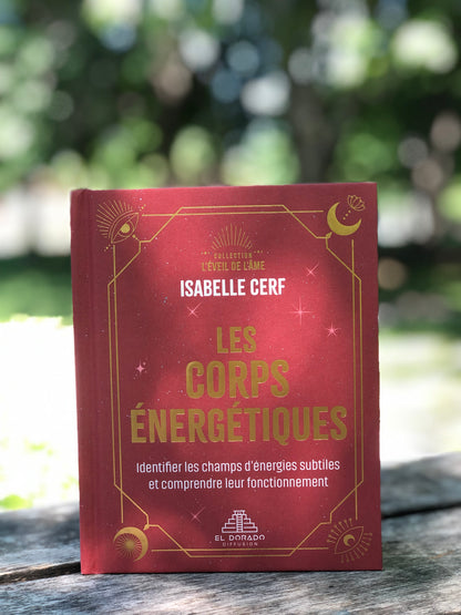 Les corps énergétiques : Identifier les champs d'énergies subtiles et comprendre leur fonctionnement