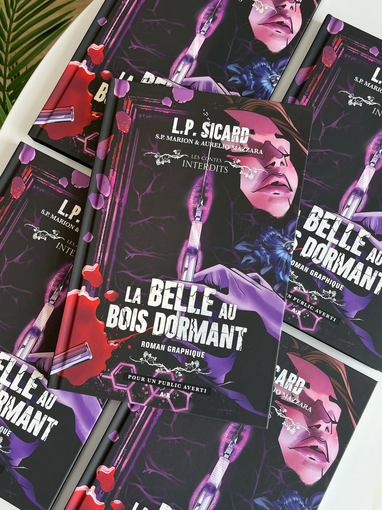 La belle au bois dormant : Le roman graphique