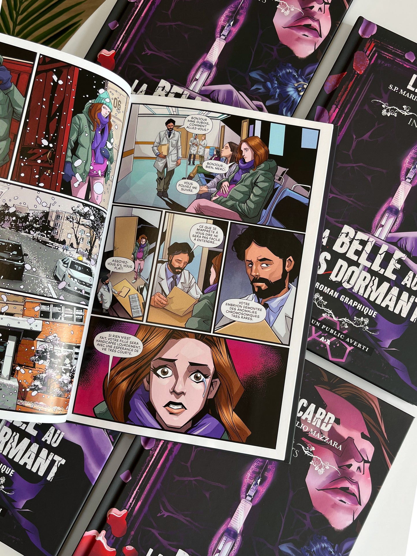 La belle au bois dormant : Le roman graphique