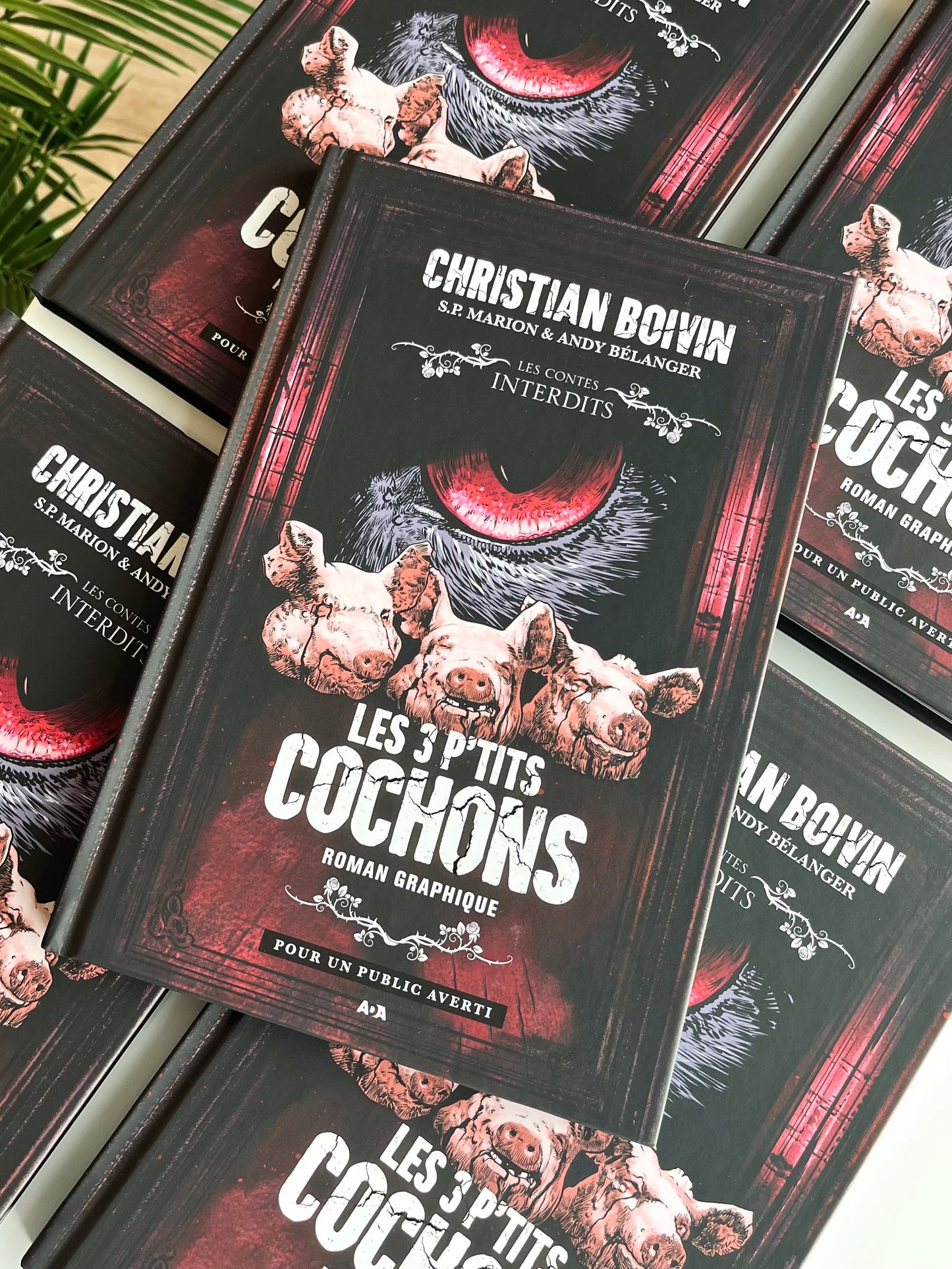 Les 3 p'tits cochons : Le roman graphique