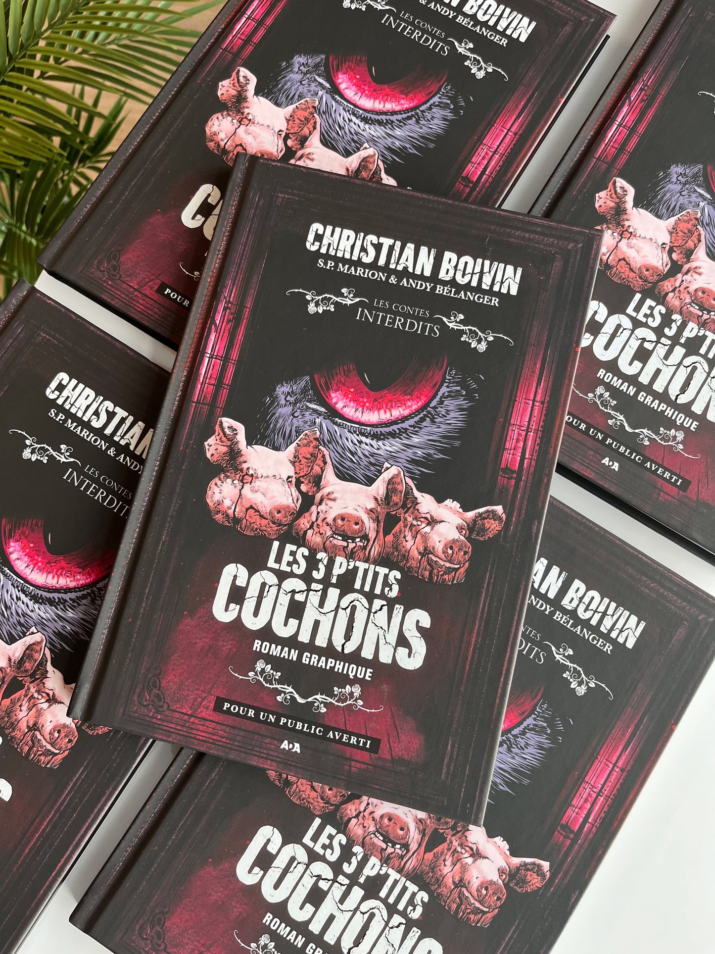 Les 3 p'tits cochons : Le roman graphique