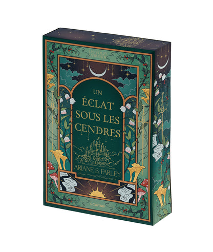 Les voiles d'Érianor - T1 : Un éclat sous les cendres