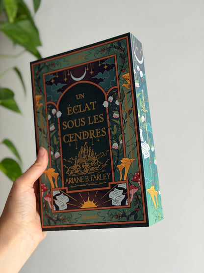 Les voiles d'Érianor - T1 : Un éclat sous les cendres