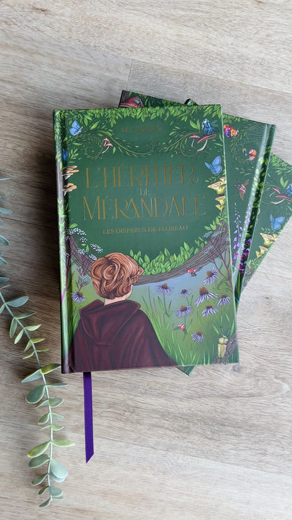 L’héritier de Mérandale - T.1 : Les disparus de Floreau