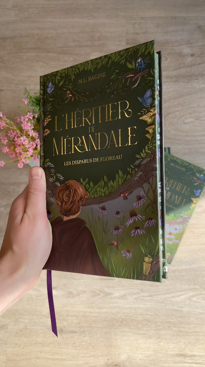 L’héritier de Mérandale - T.1 : Les disparus de Floreau
